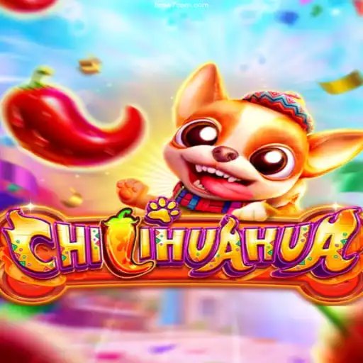 Exploring the Exciting World of CHILIHUAHUA